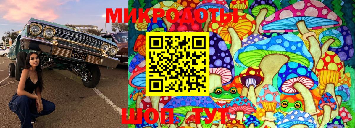 Галлюциногенные грибы мицелий Волжский