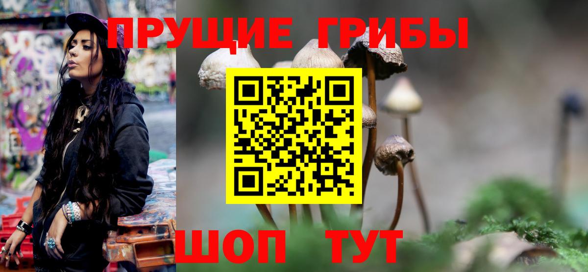 Псилоцибиновые грибы GOLDEN TEACHER  Вход с VPN  Волжский 